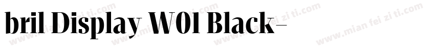 bril Display W01 Black字体转换